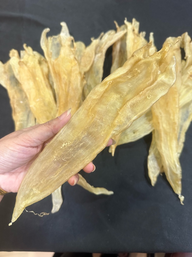 济雄海产品北海阴阳胶 厚肉多胶