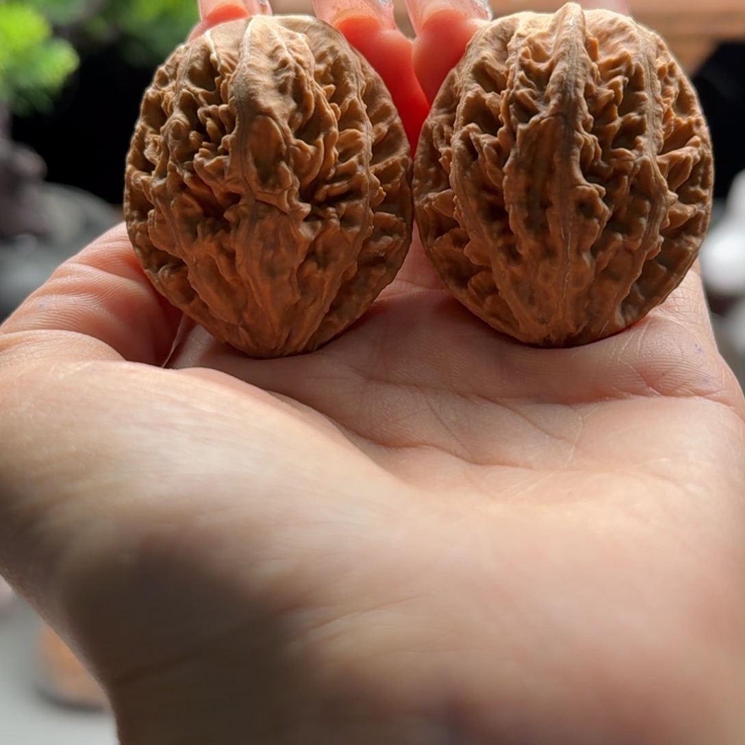 文玩核桃把件关东木子楸百核149