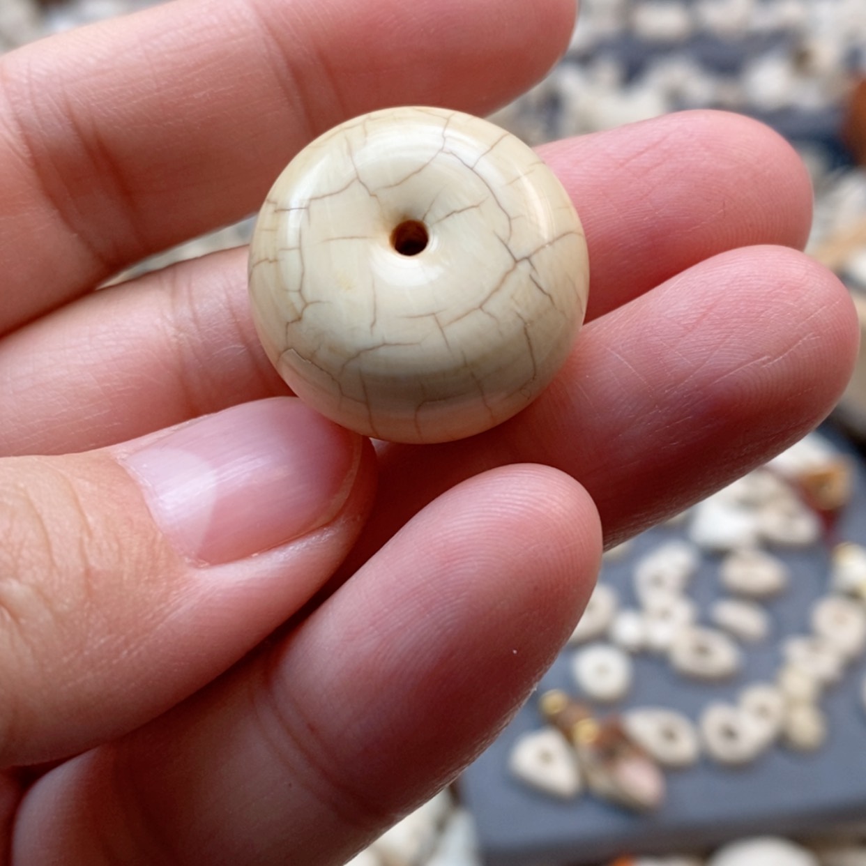 【闪购商品】无非金属猛犸牙23/12