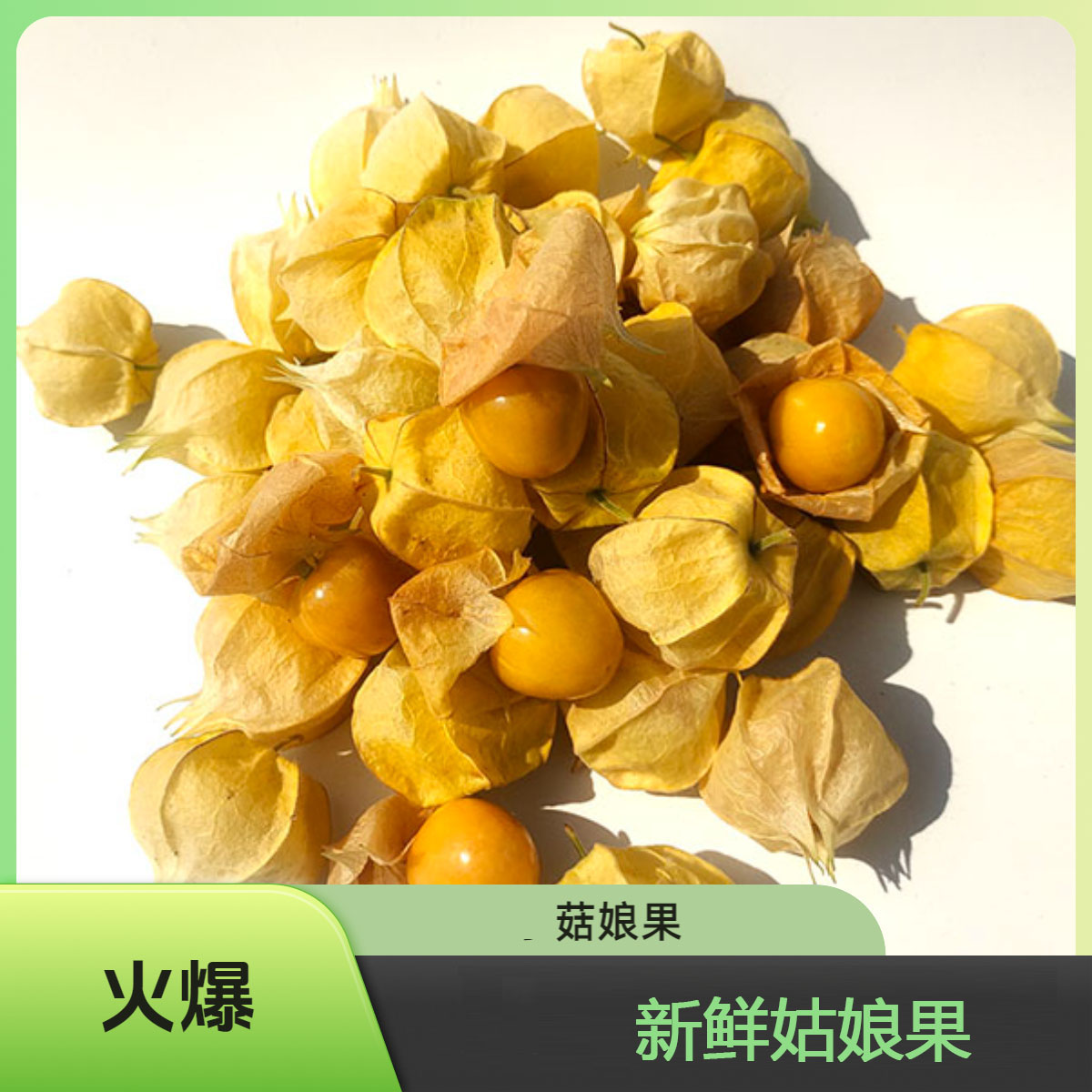 东北姑娘果灯笼果新鲜采摘香甜多汁水果菇娘果