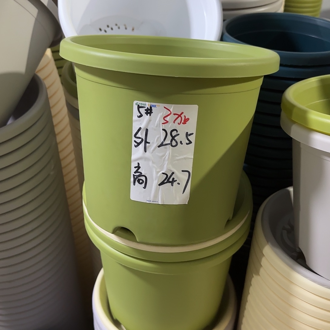 微瑕5号6个无托，果绿