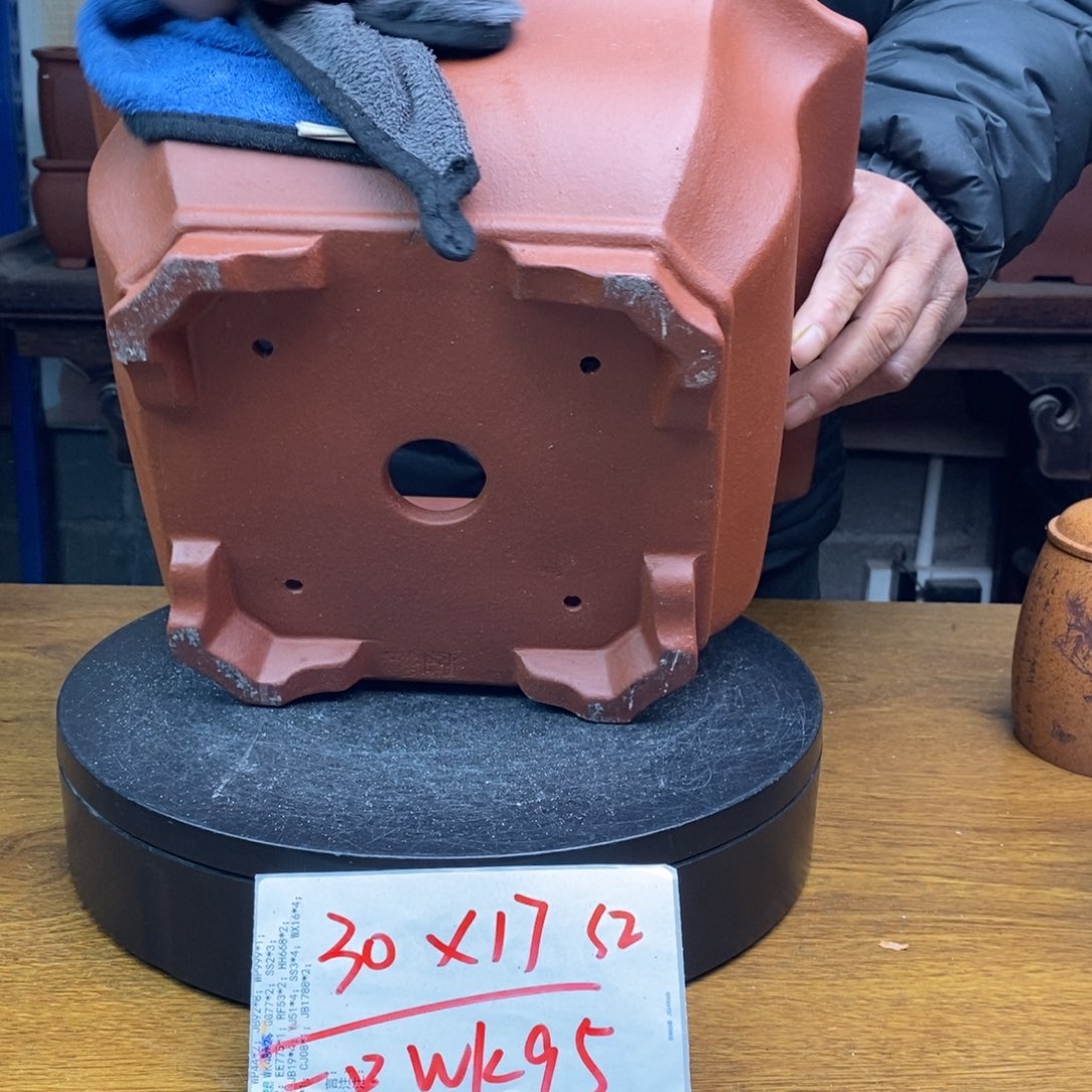 红陶货号一只WK95