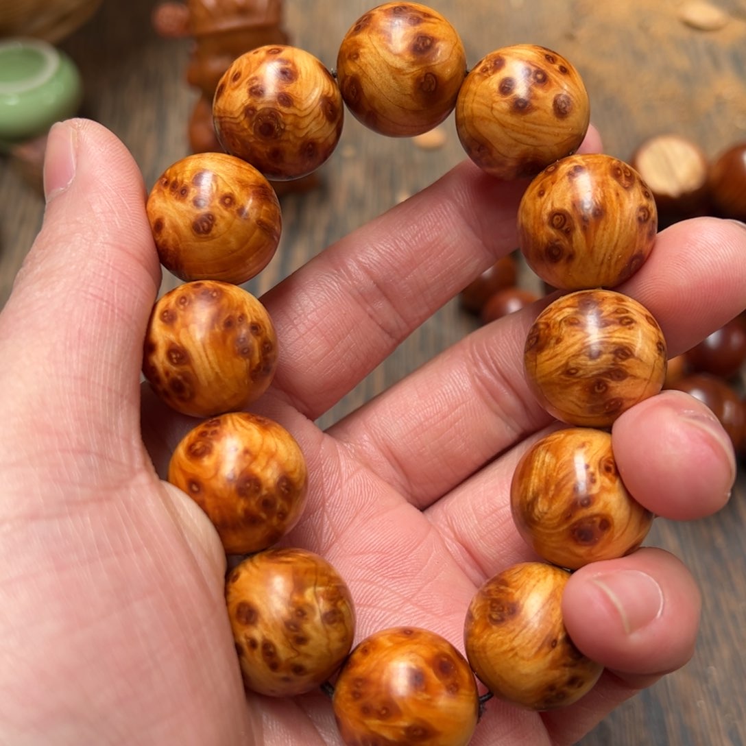 太行崖柏陈化太行