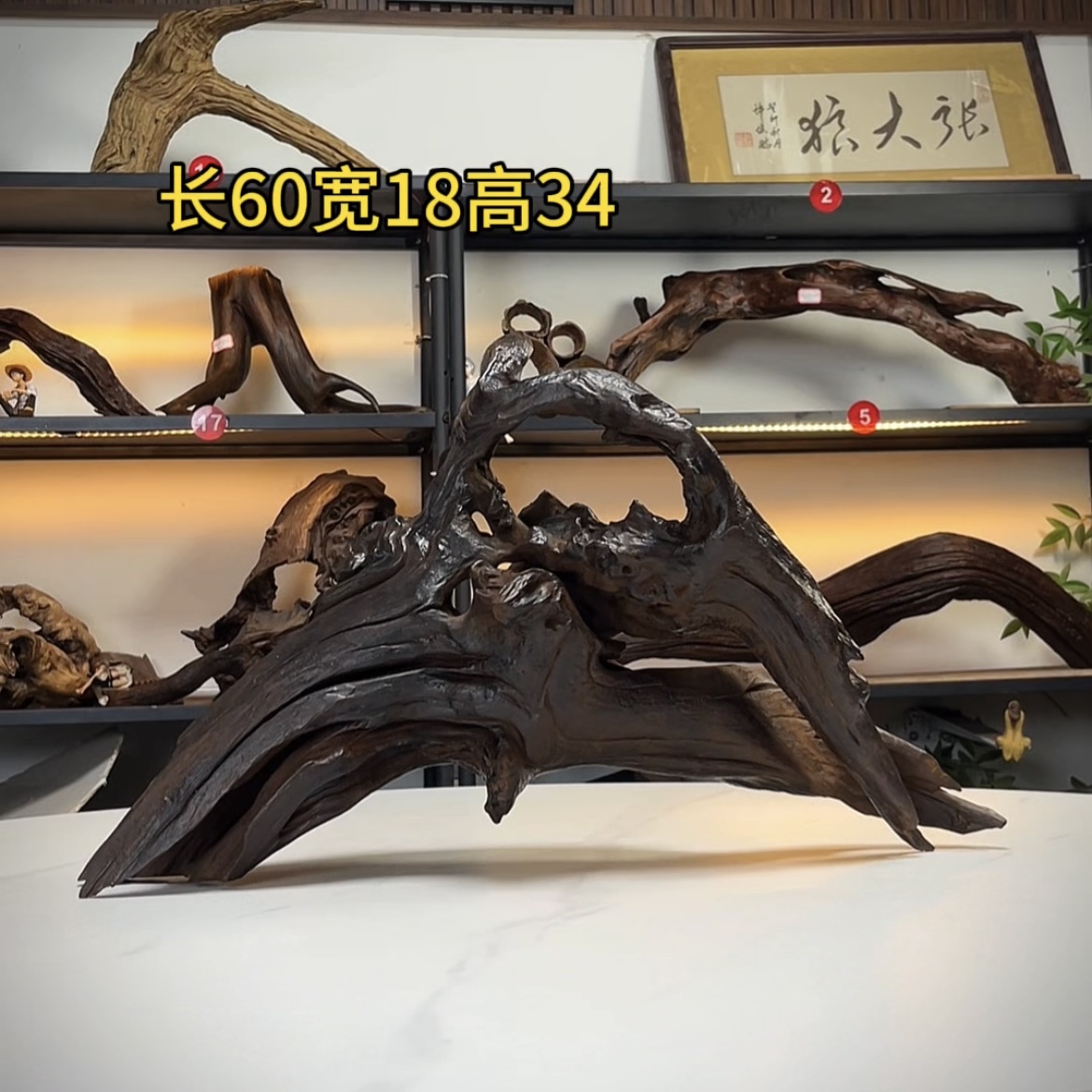 张大狼造景沉木长60cm镂空拱桥飘枝 南美鱼缸造景 紫柚木秒沉