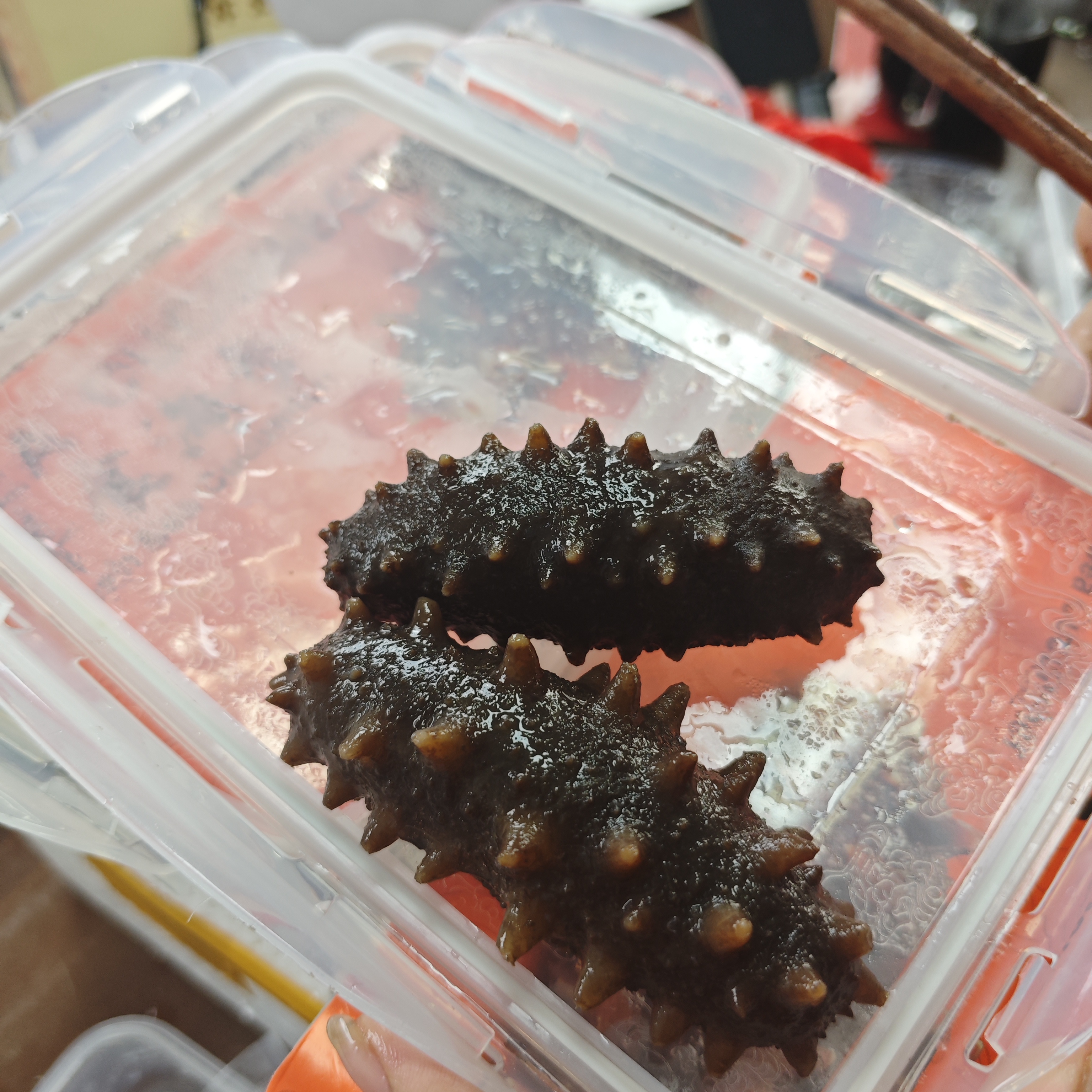 8头大连刺参即食海参深海高刺500gx2