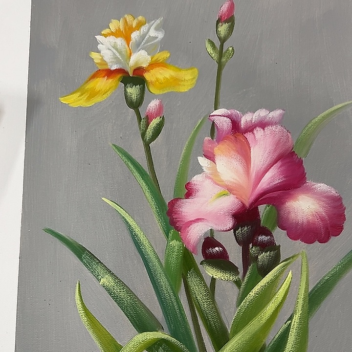 油画w y p z p z y p y p y p