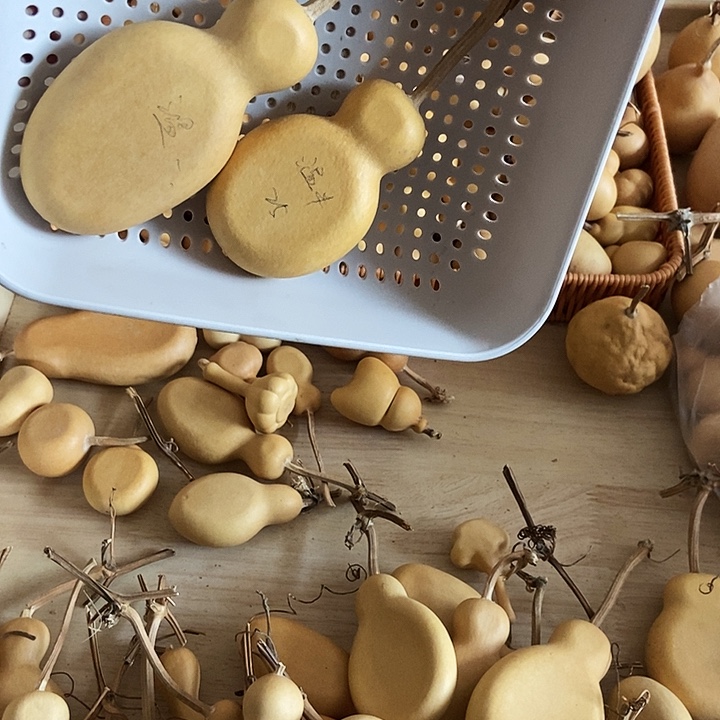 温***一温半从一葫芦葫芦