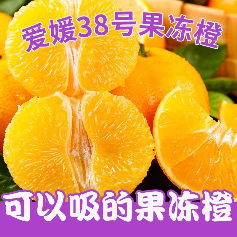四川眉山38号果冻橙新鲜采摘多汁坏果包赔约14-18个 大果论斤发货