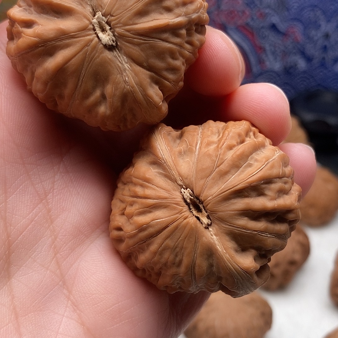在***跑41铁锤妹妹文玩核桃