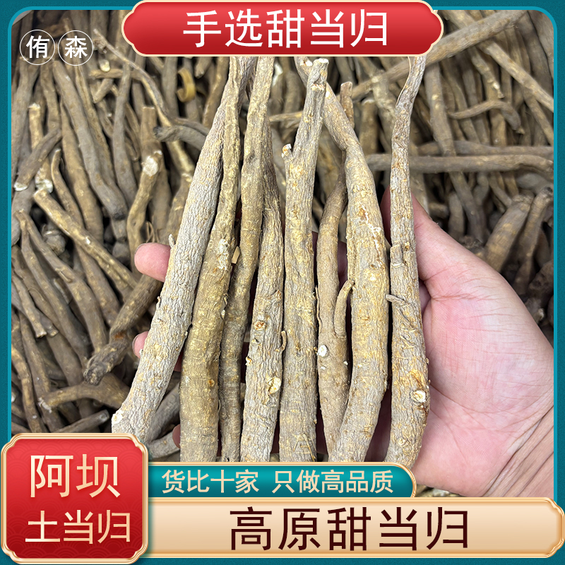 甜当归高原特产现收土当归 高海拔甜当归原色精选
