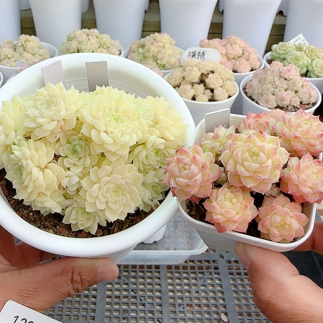 1213-122（m1-400-2/ht-19）