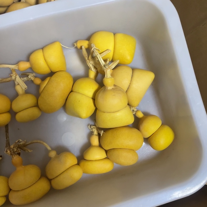 ****菇哈哈哈哈我真的好想你葫芦