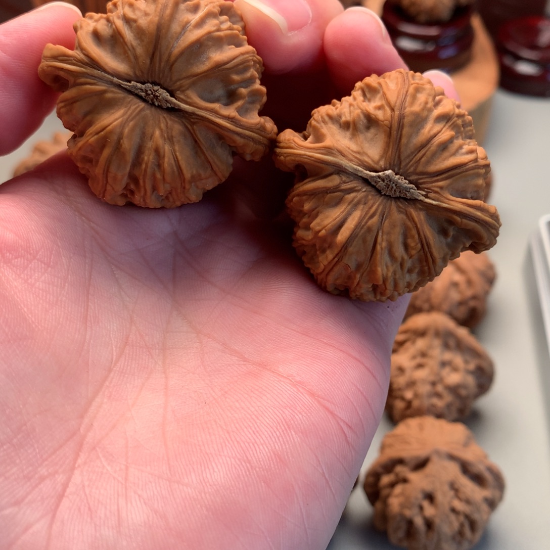 不***人文玩核桃吊坠精品白狮子