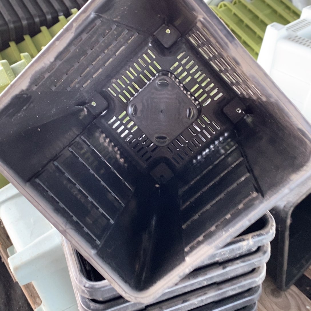 5个16口灰黑方无托伊特（16×17）