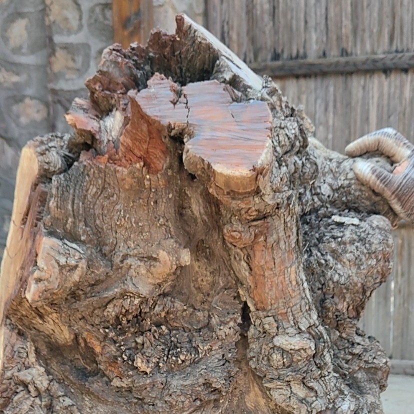 【私人订制】中条山雷击枣木老料雷击木原木精品雕刻定制类工艺品