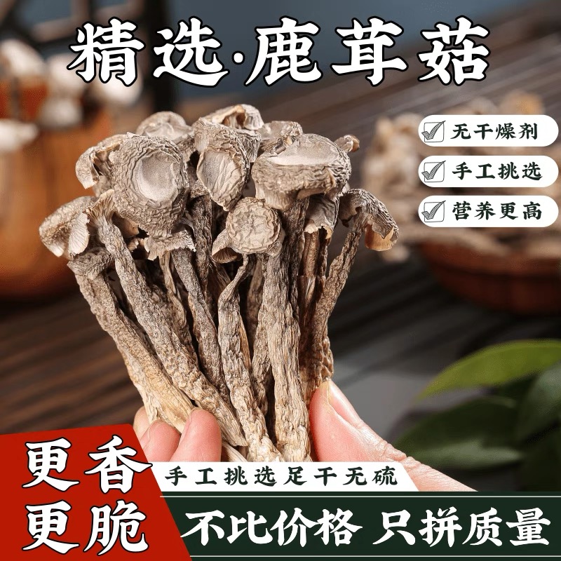 豪媳妇（99高山鹿茸菇）纯干货菇农自然晾晒风干鲜美好吃