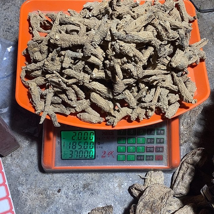 育***记黑皮甘蔗云南高山野生西洋参