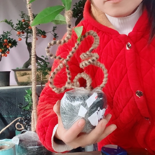 无花朵金弹子立体福。  