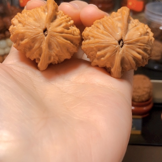 ?***开野生小众：平谷寿桃