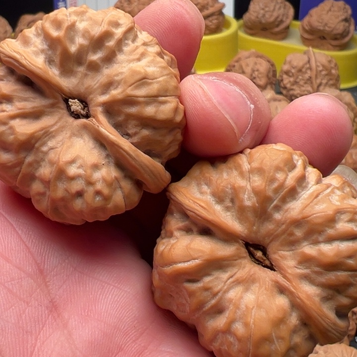 一***子核桃文玩核桃文玩核桃