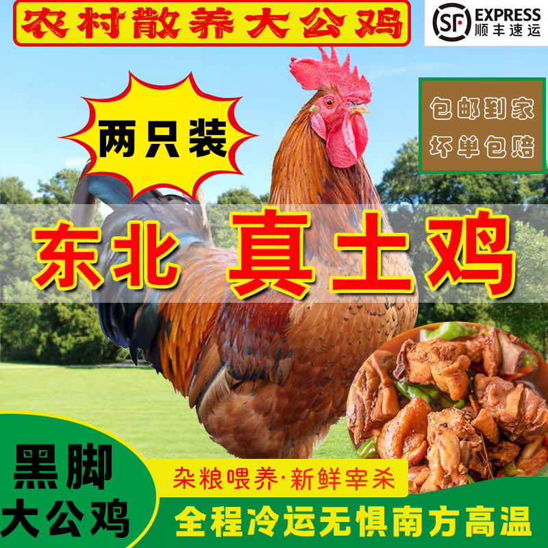 两只黑凤鸡王黑爪散养大公鸡加一斤鸡胗共净重10斤半左右顺丰包邮