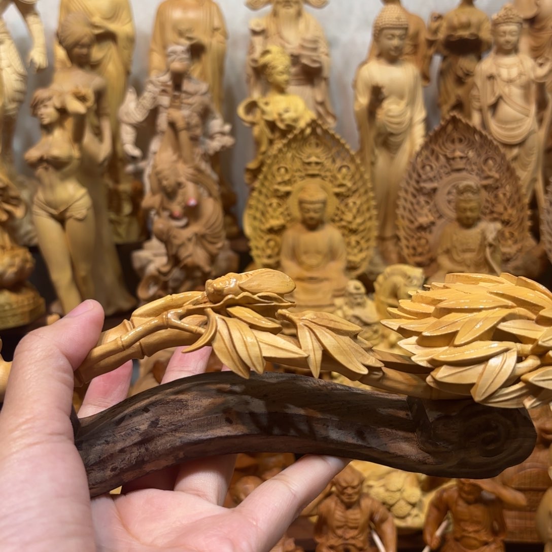 黄杨木黄杨木一鸣惊人