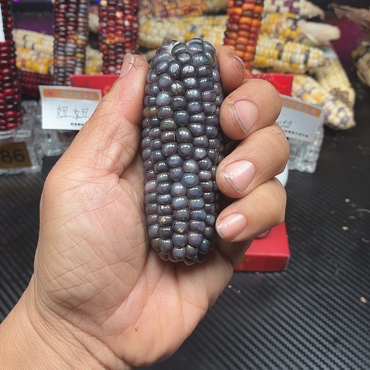 请***爽柏香籽/百香籽吊坠