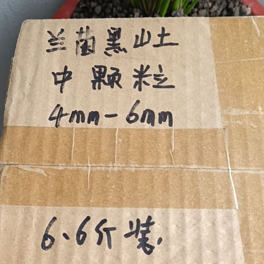 大***手兰菌黑山土中颗粒6.6斤