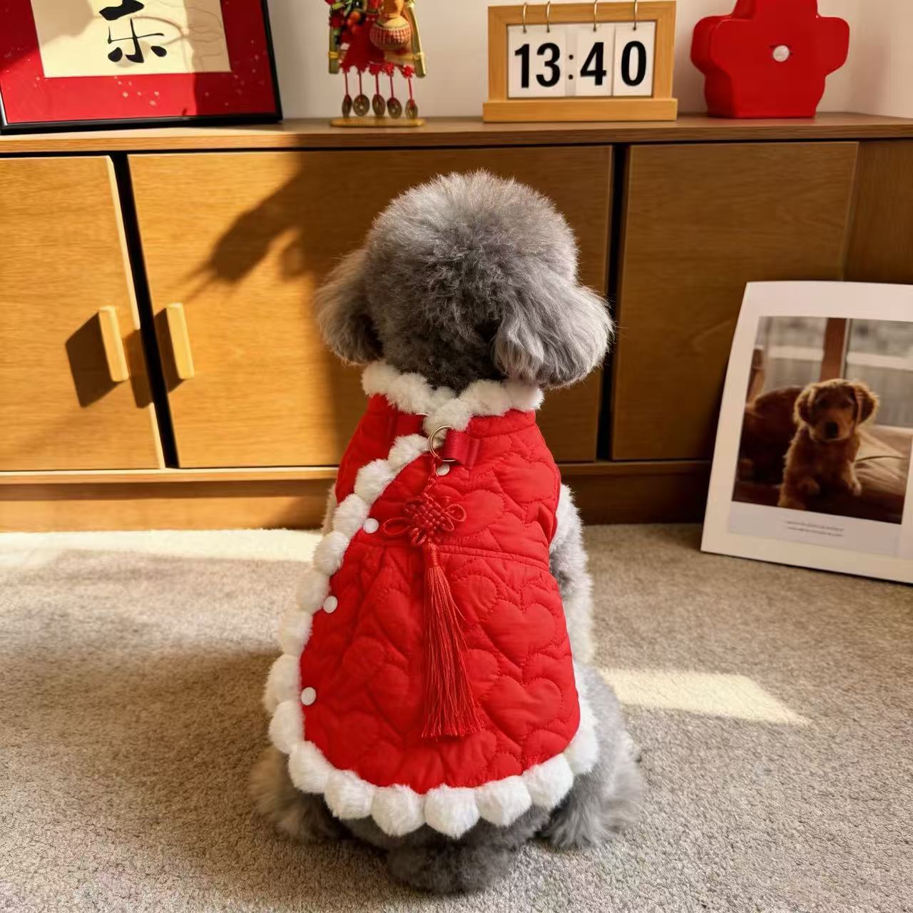 宠物狗衣服秋冬新款加绒保暖拜年服猫咪礼服泰迪比熊