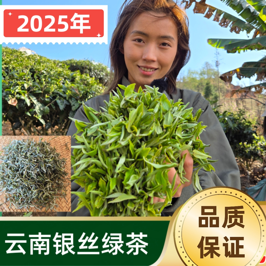 【春尖银丝绿茶】绿茶云南银丝绿茶明前高山茶叶丝绿茶鲜爽浓香型