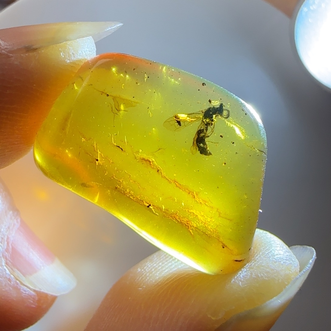 琥珀裸石未镶嵌蜂
