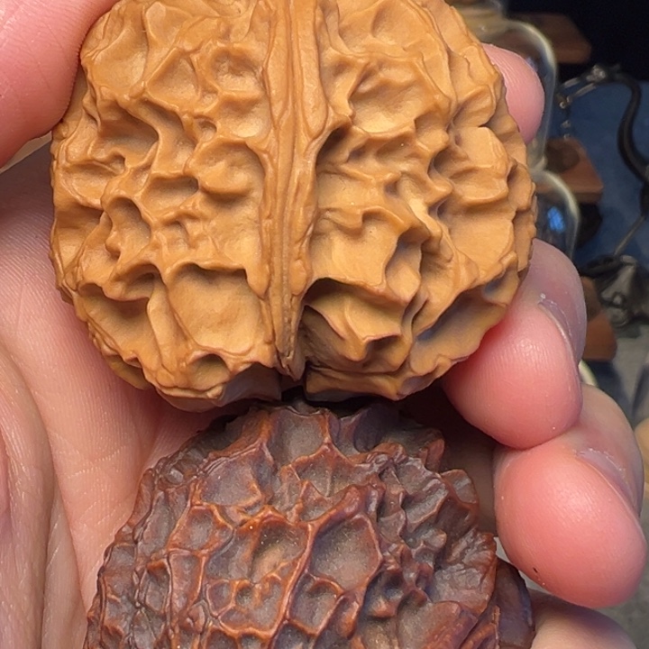 文玩核桃把件z***?凤凰牡丹