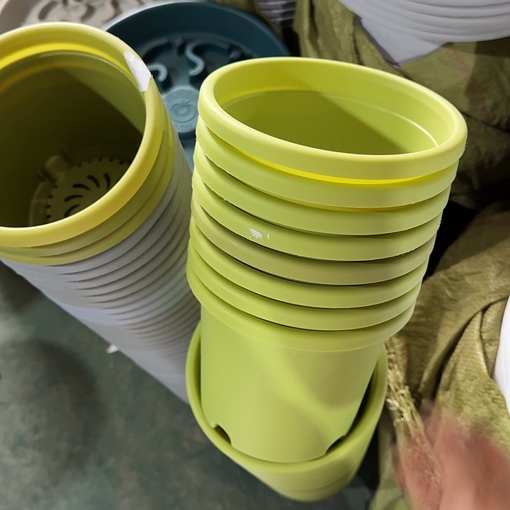 瑕疵2#果绿12个无托