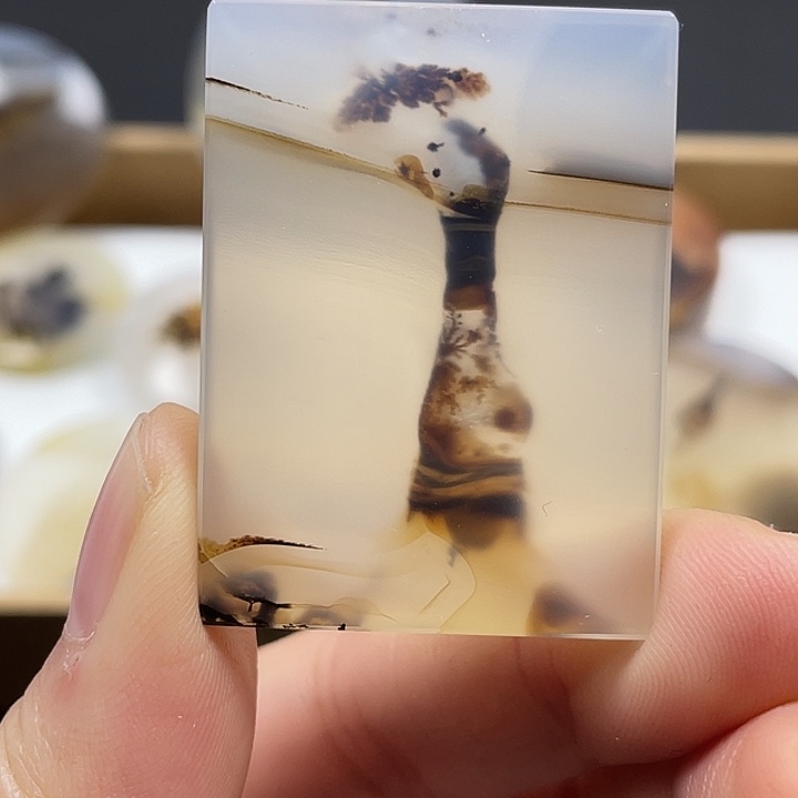 鹿***鸣玛瑙/玉髓未镶嵌颈饰