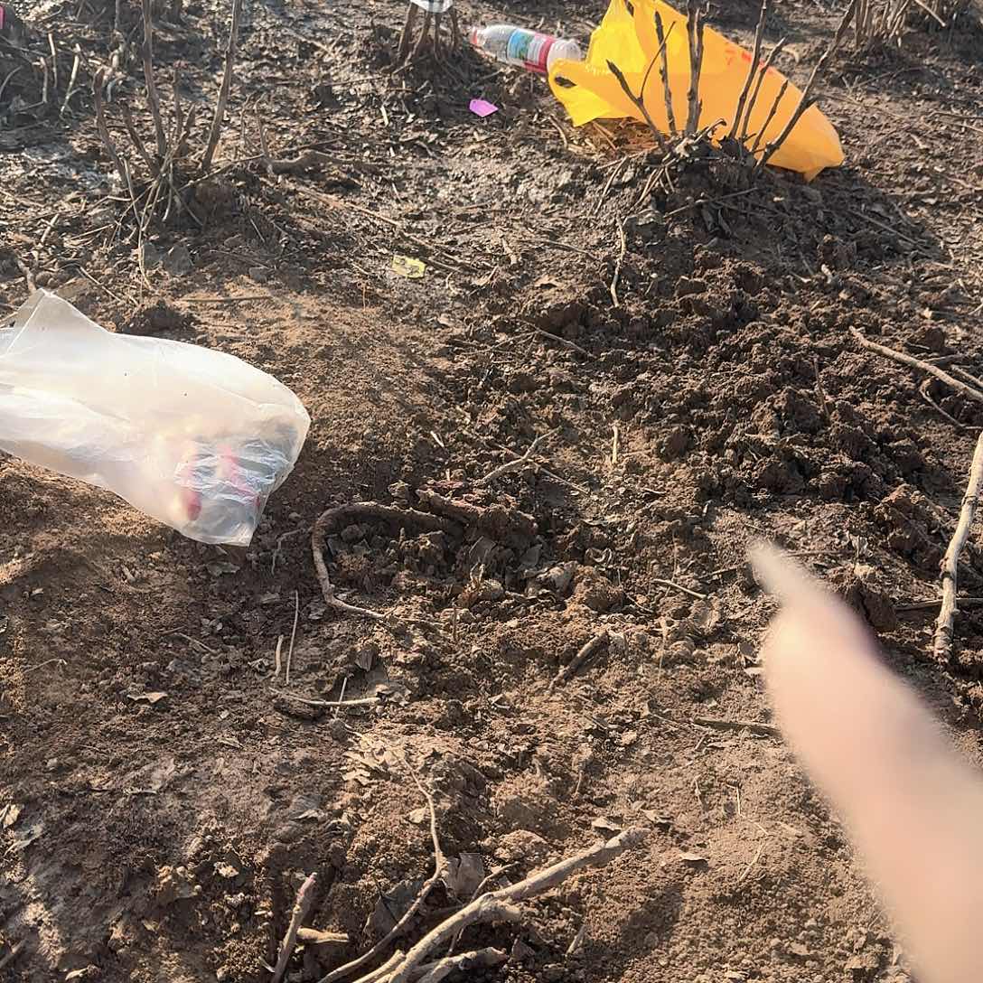 完全开放小苗子11111