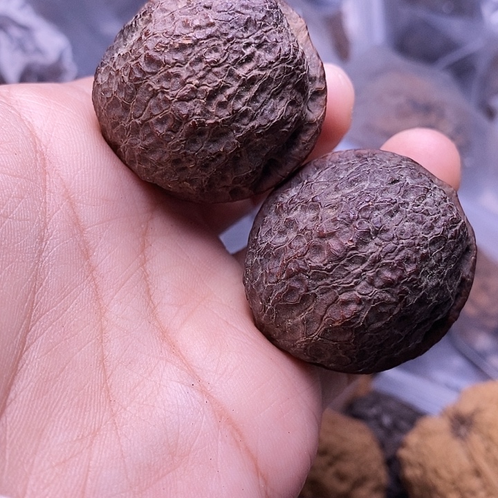 文玩核桃吊坠   40