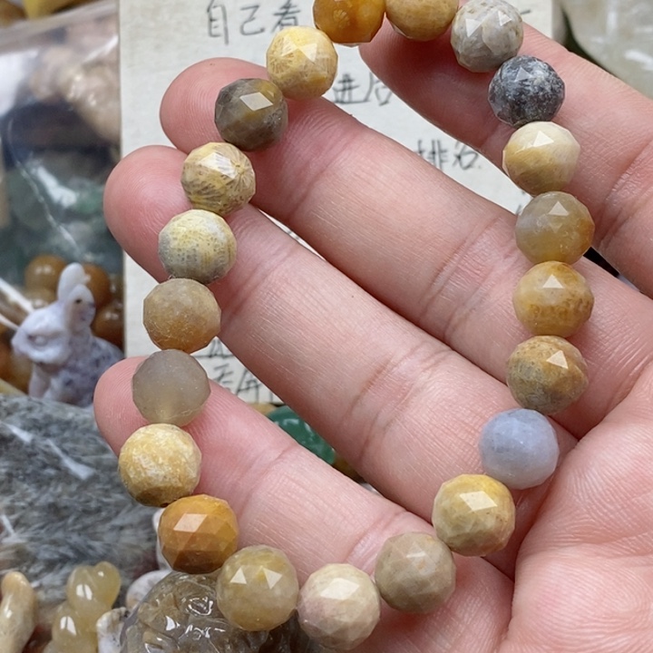 硅化珊瑚（珊瑚玉）未镶嵌颈饰