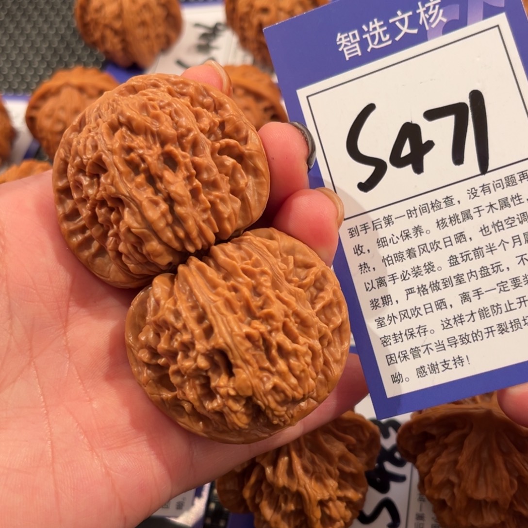 核桃S471号四座楼45尺