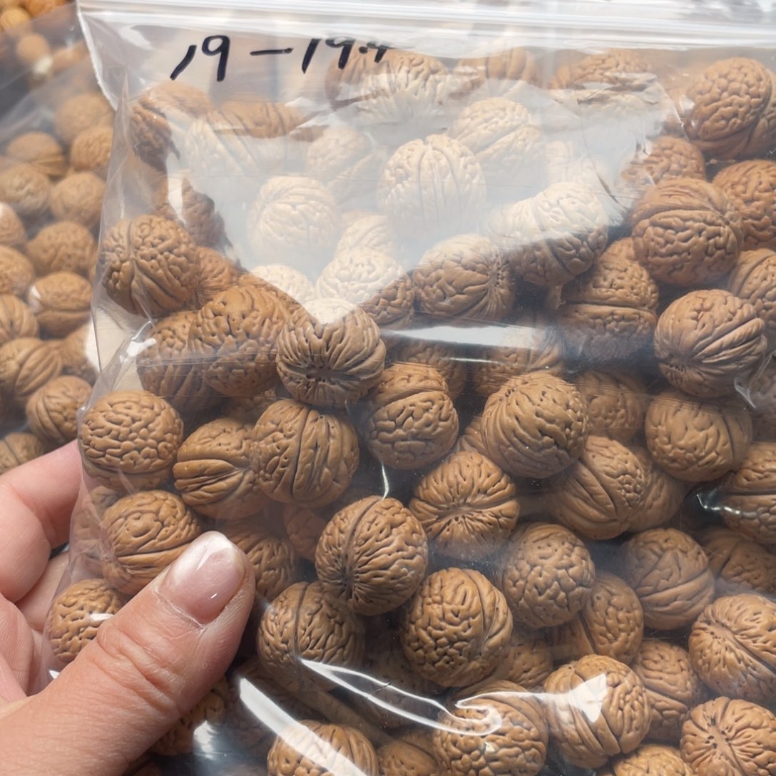 【闪购商品】梵*散子发货140米