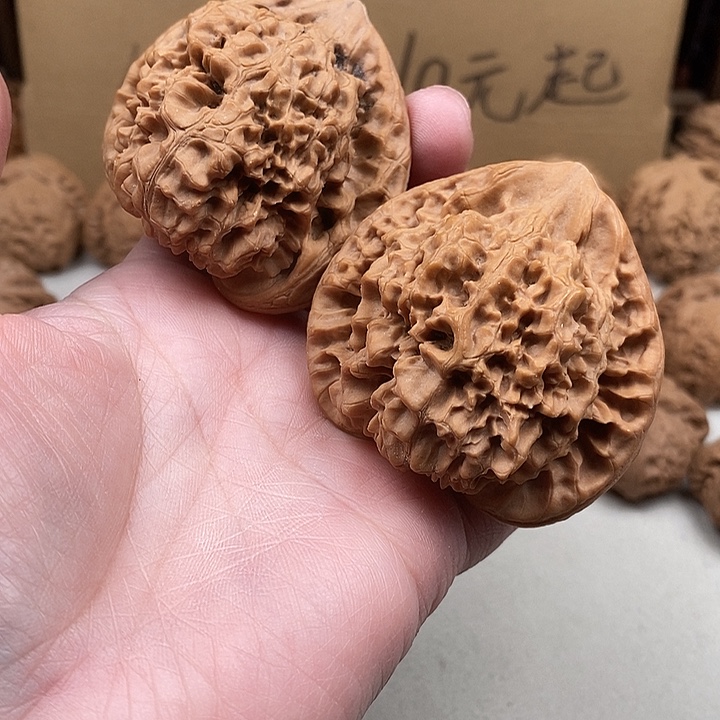 不***。吊坠龙脊菩提47.47.47.17.47