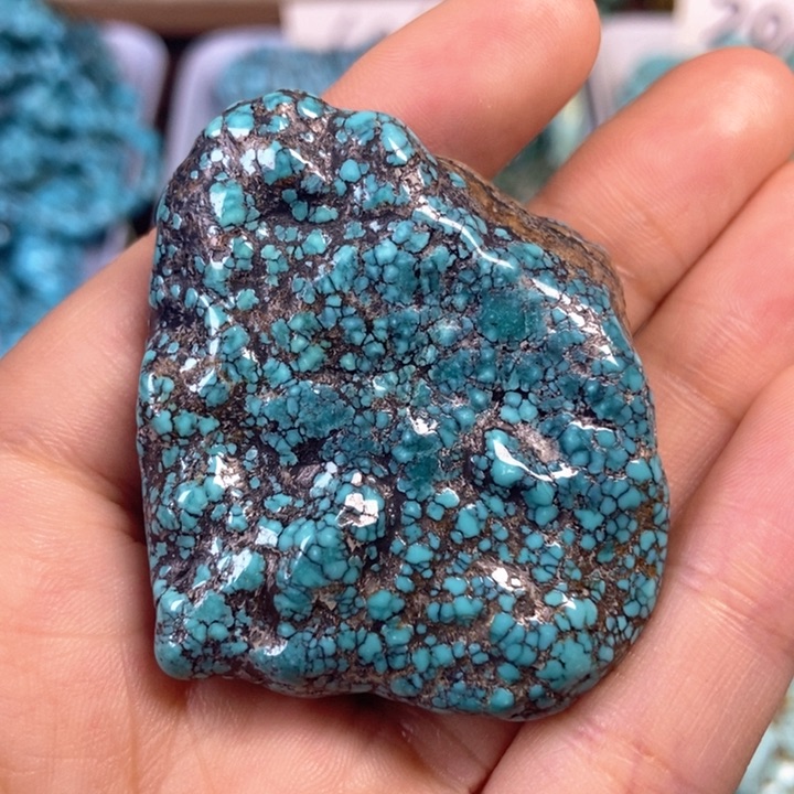 绿松石未镶嵌颈饰