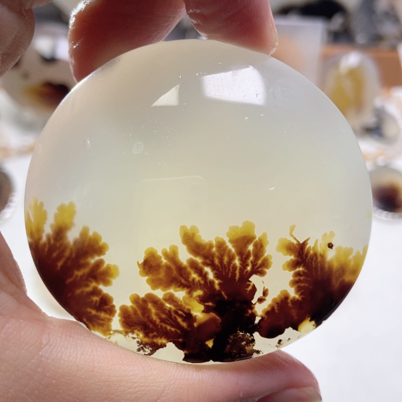 【闪购商品】玛瑙/玉髓颈饰未镶嵌