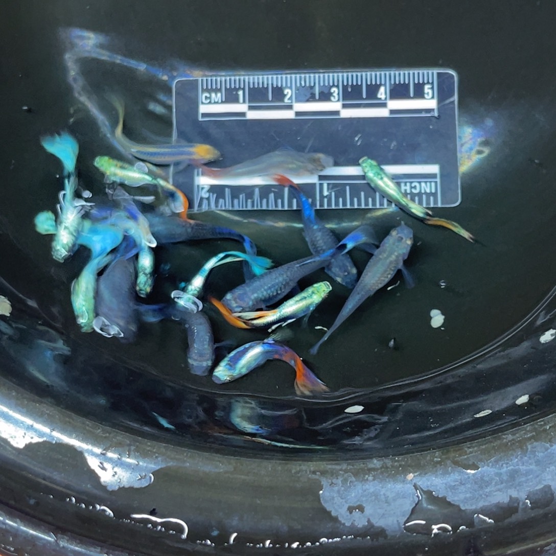 海水5号哈哈哈哈哈哈