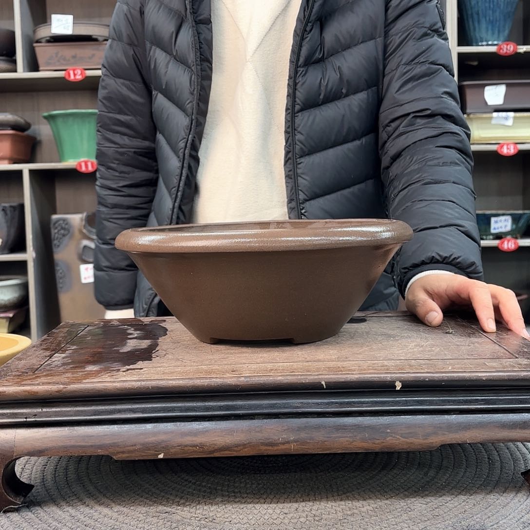 紫砂花盆泊*紫砂的花也太