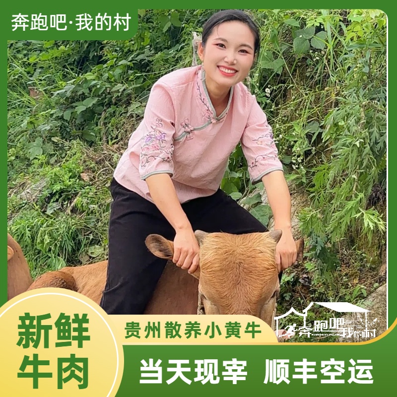 【 现宰小黄牛】现改链接-现切新鲜牛肉正宗带皮牛腿肉里脊后腿腱子