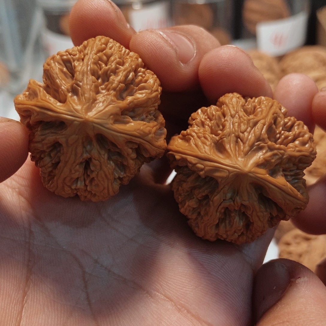 文玩核桃吊坠36大粗筋。1