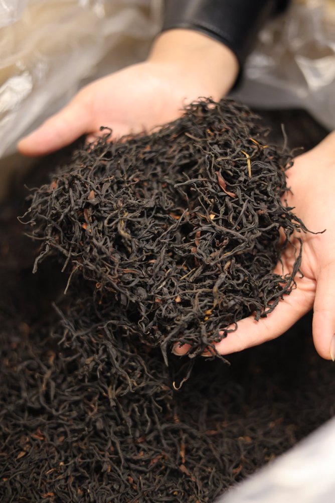 2025年仙人山野生红茶  （400克）