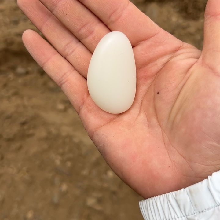 和田玉（糖玉）未镶嵌车挂