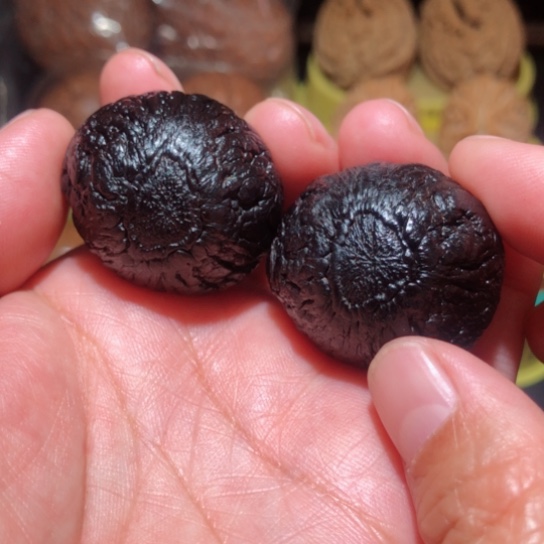 文玩核桃把件黑龙菩提