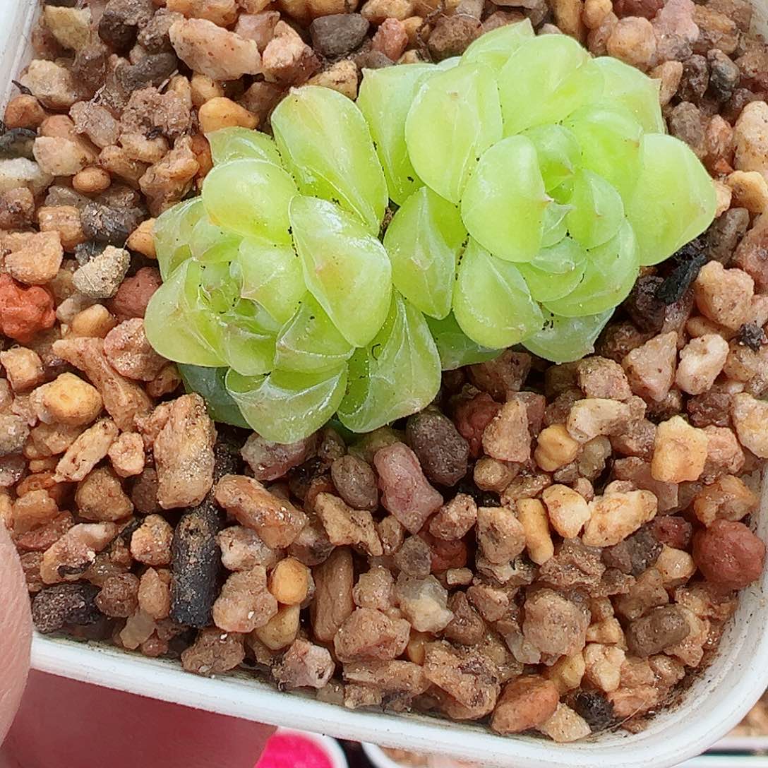 856哈哈哈哈哈哈哈哈我